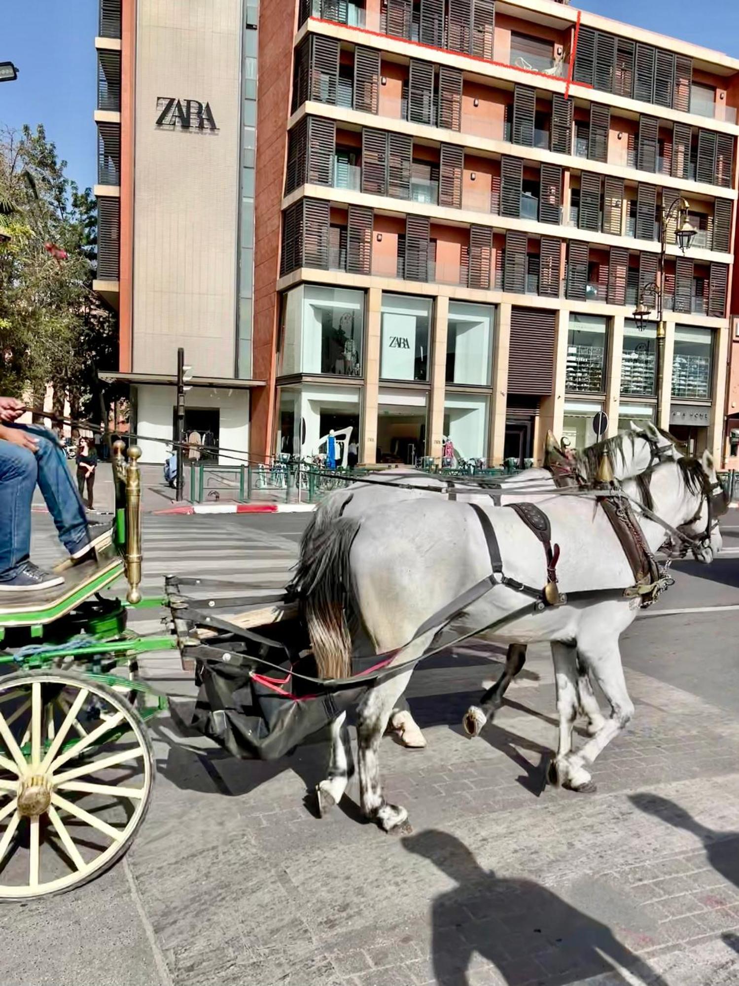 Zara Apartments Marrakech مراكش المظهر الخارجي الصورة